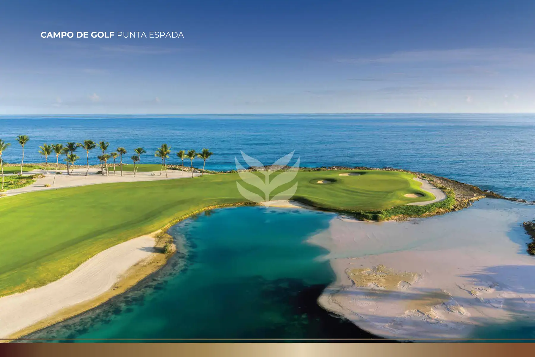 AN-CapCana 15